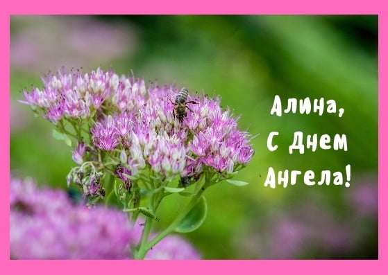 Смотреть День ангела Анастасии 2019 видео Смотреть День ангела Анастасии 2019 видео