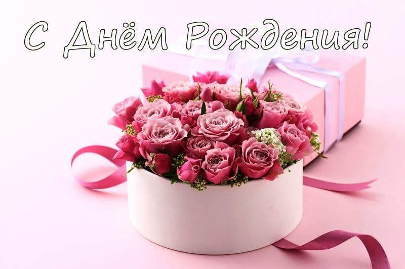 Поздравления С Днем Рождения Алисе Прикольные