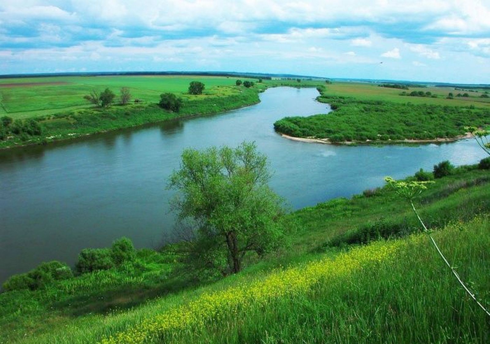 Река Матыра в Липецкой области