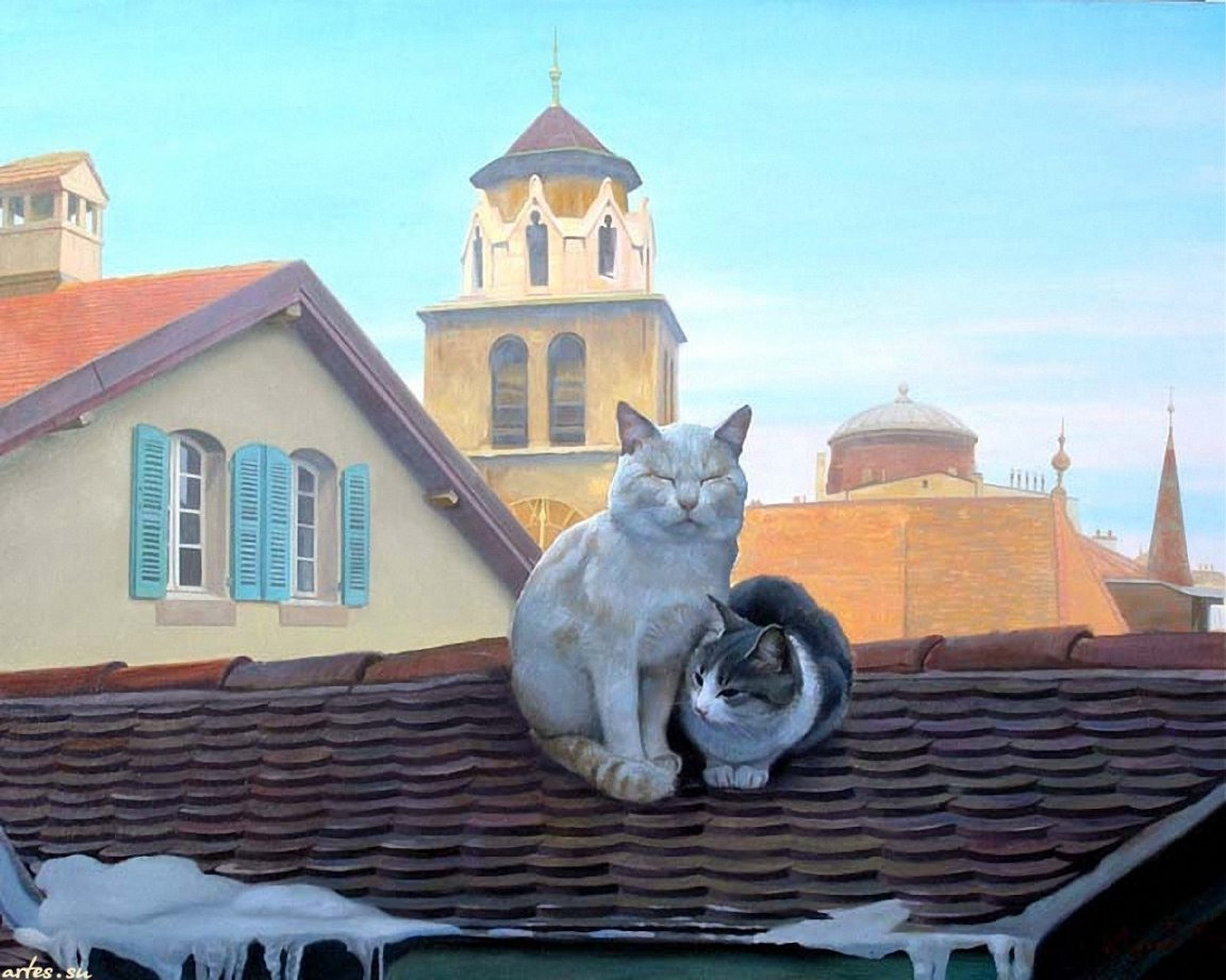 Кошки на крыше