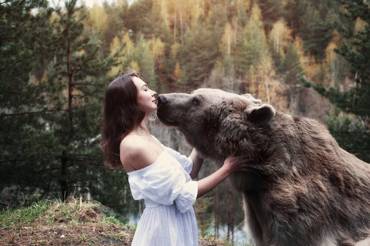 Поцелуй медведя