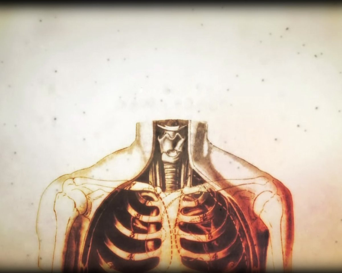 Анатомия человека фон