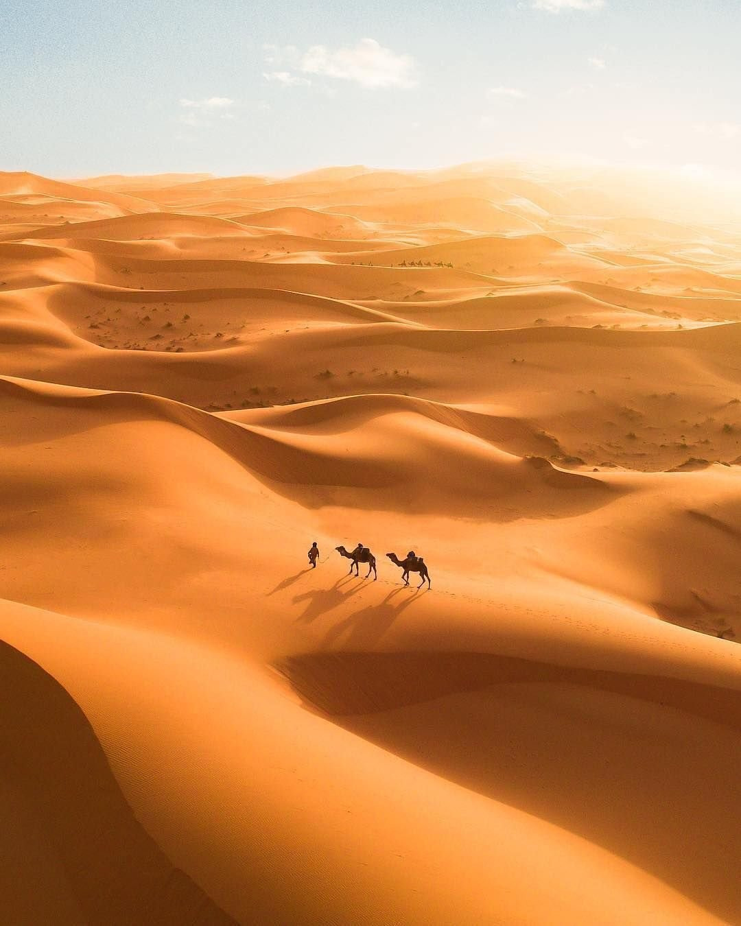 Песчаные дюны Сахары Марокко