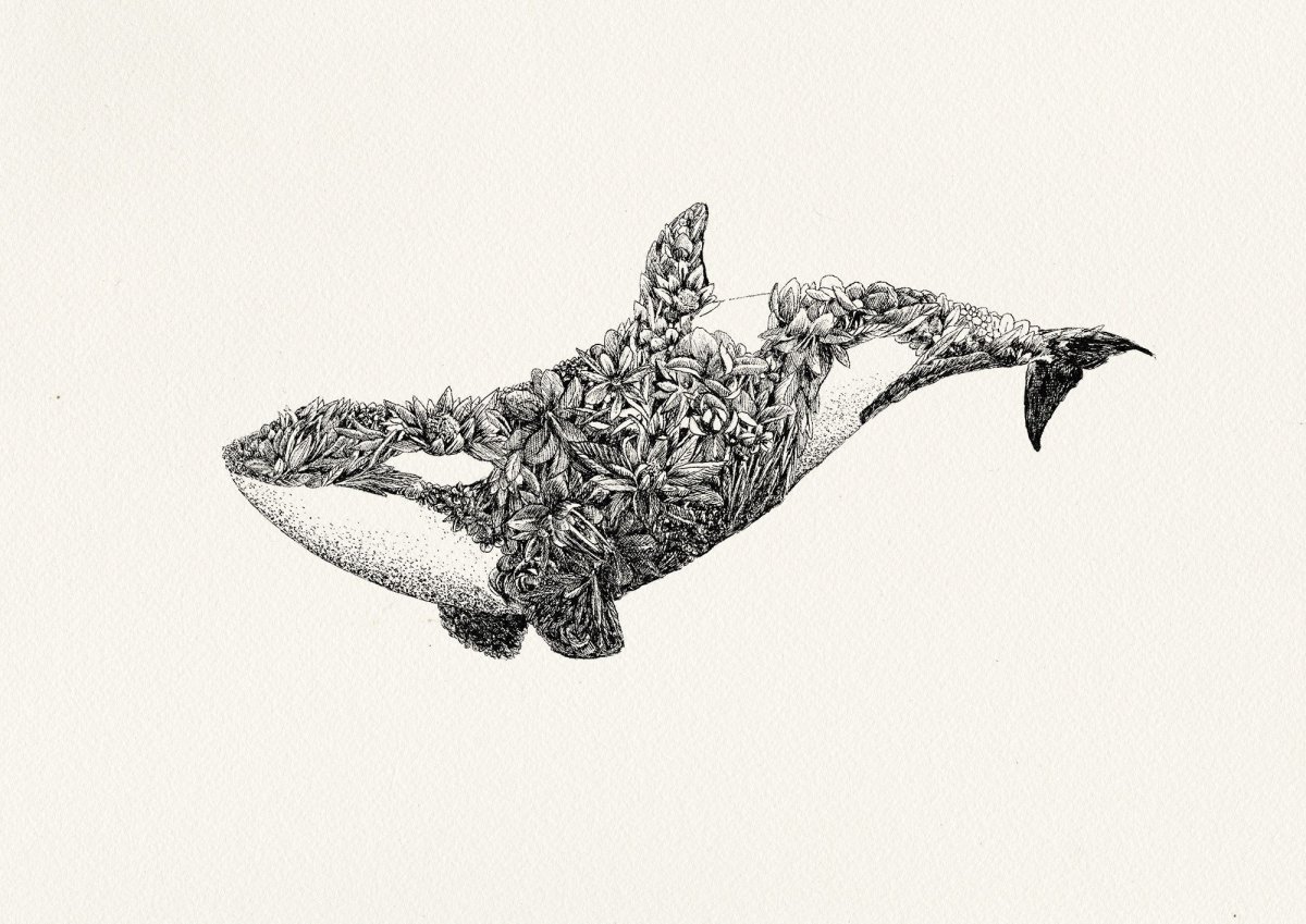 Стилизованный кит