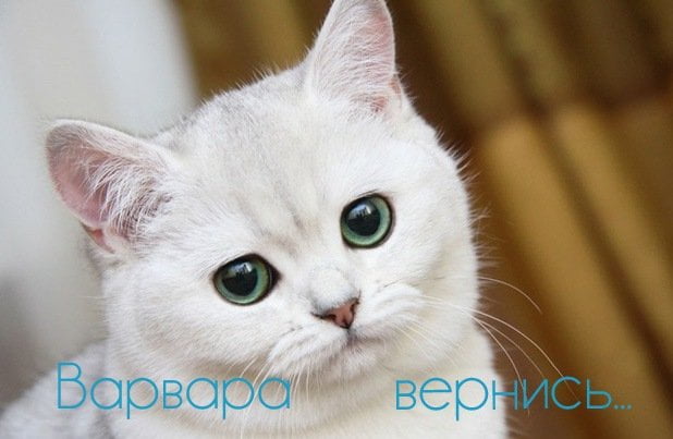 торт с днем рождения варя. Смотреть фото торт с днем рождения варя. Смотреть картинку торт с днем рождения варя. Картинка про торт с днем рождения варя. Фото торт с днем рождения варя