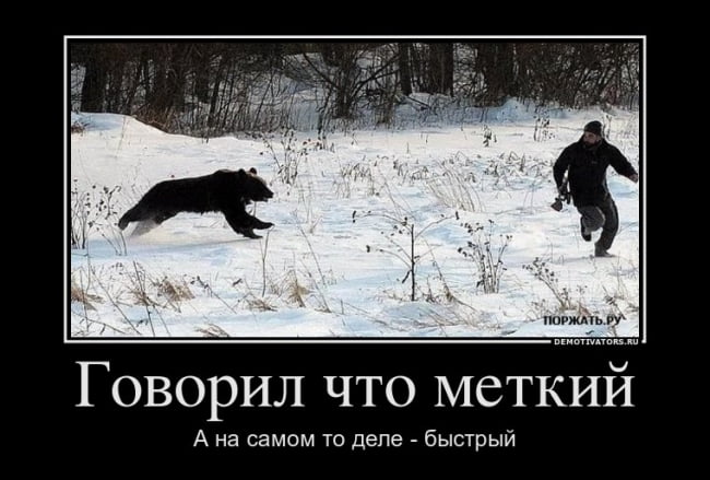 картинки про медведей и охоту