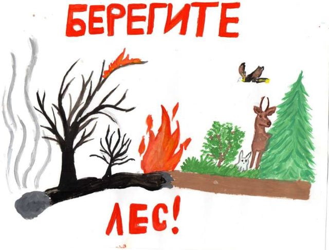 Сгоревший лес рисунок - фото и картинки fitdiets.ru