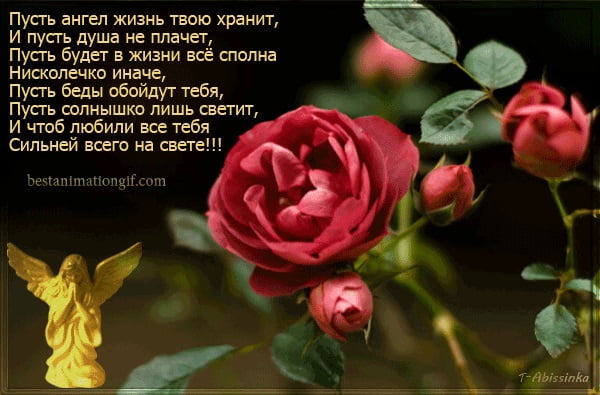 Картинка со стихом пусть ангел хранит тебя.