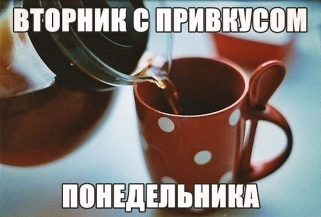 «»