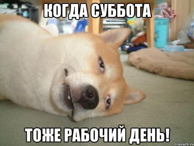 «»