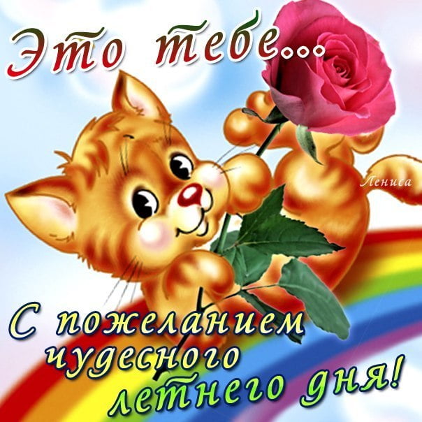 «»