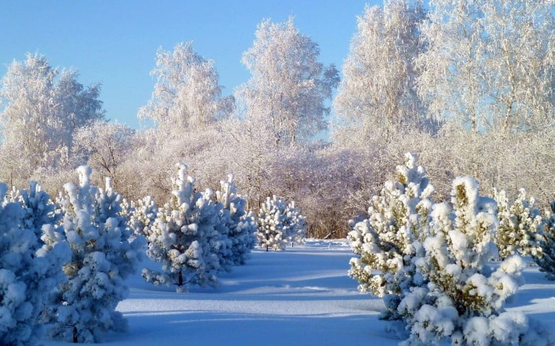 Картинки по запросу картинки зима красивые