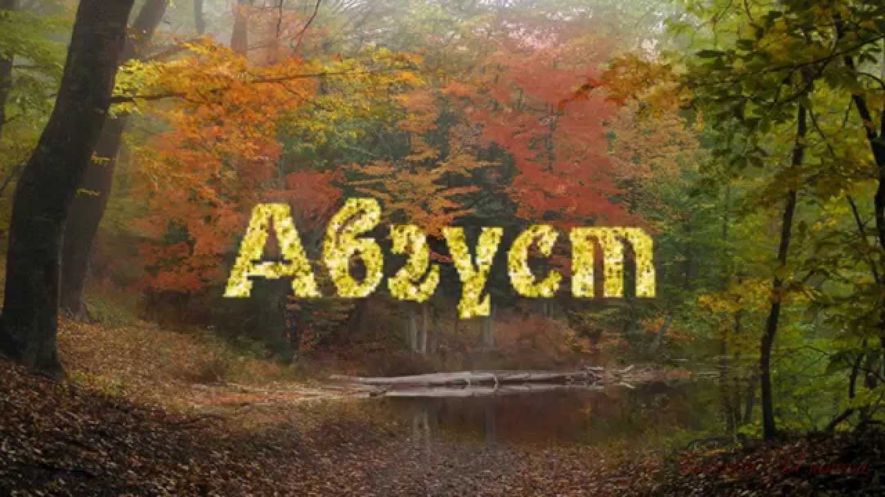 Фон август для афиши