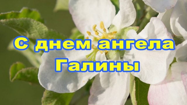 Фото именины галины