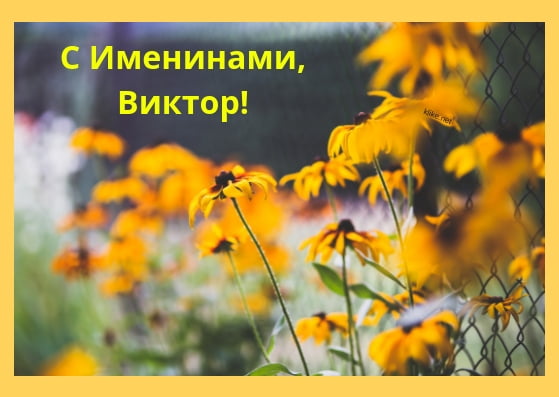 Пожелания для именинника Виктора Пожелания для именинника Виктора