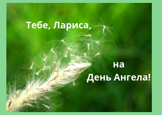 «»
