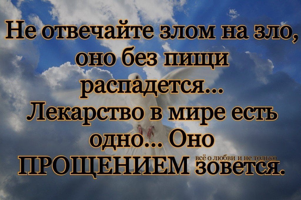 Злому ответить злом. Я прощаю тебя. Прощаю картинки. Не отвечай злом на зло. Прости меня и я тебя прощаю.