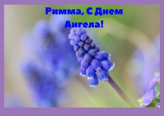 Римма, с именинами!