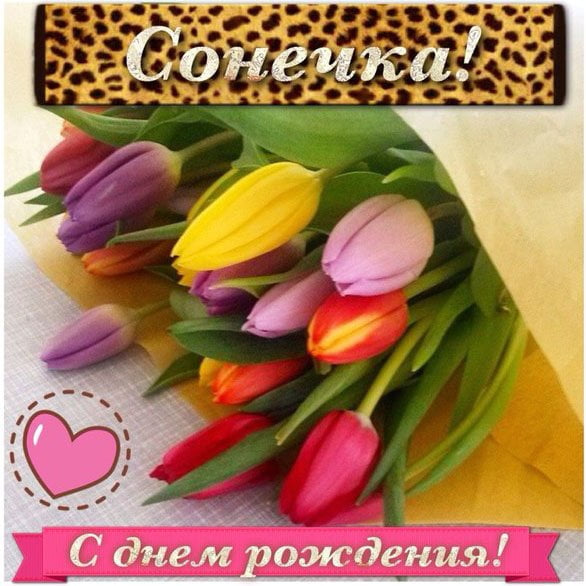 Для софии открытка, привет омска скрапбукинг