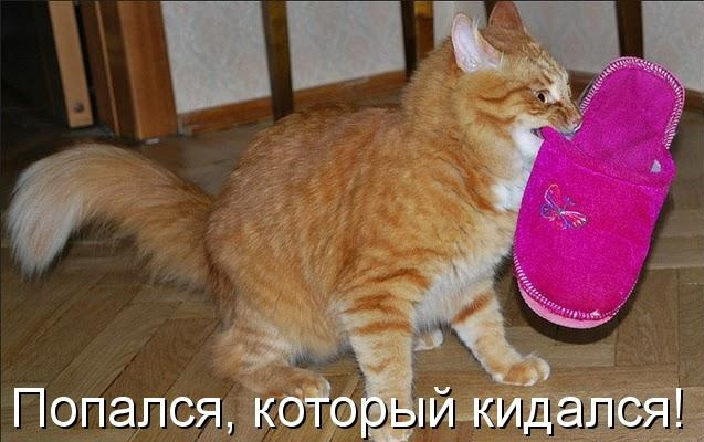 Котенок застрял в машине