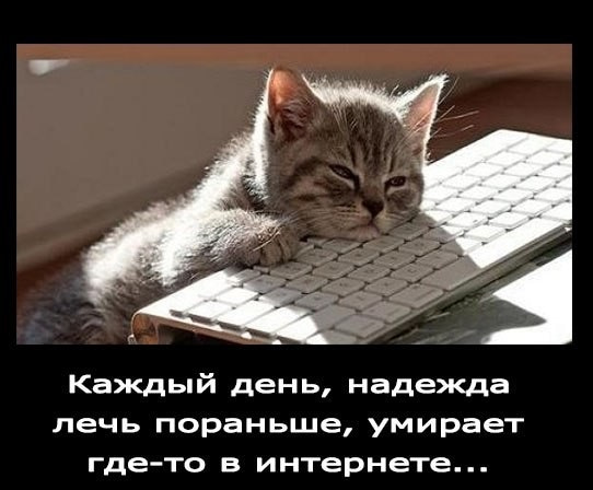 Котенок застрял в машине