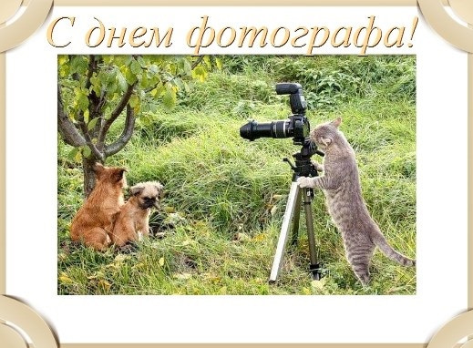 Картинки день фотографа