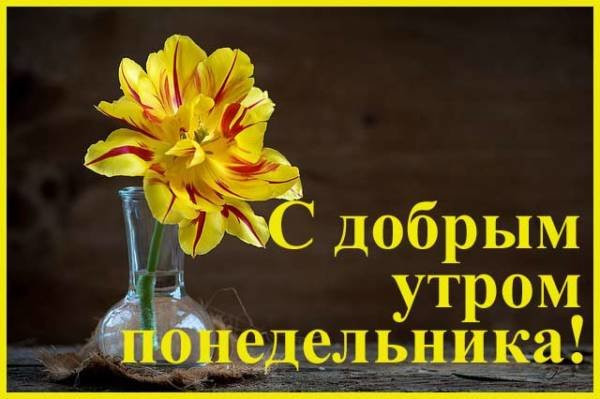 Картинки доброе утро в понедельник
