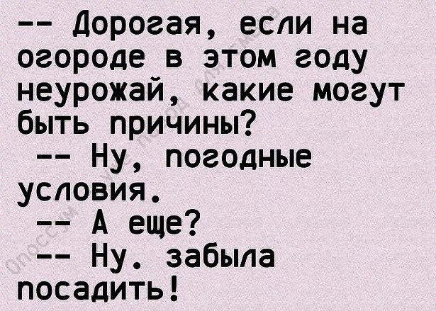 Огород приколы в картинках с надписями поржать