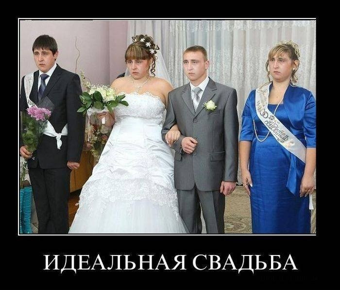 Хрустальная свадьба картинки смешные