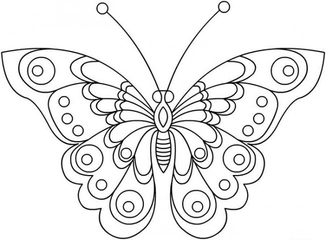 Бабочка сидит на цветке рисунок