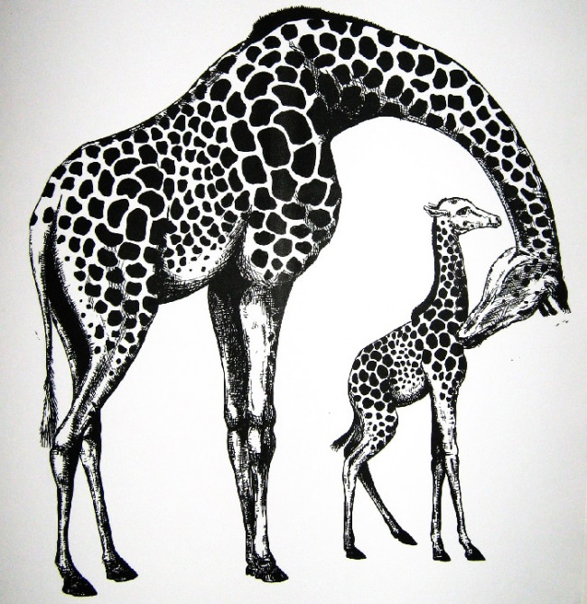 Курс рисования зентангл для начинающих Zentangle art, Zentangle drawings, Zentan