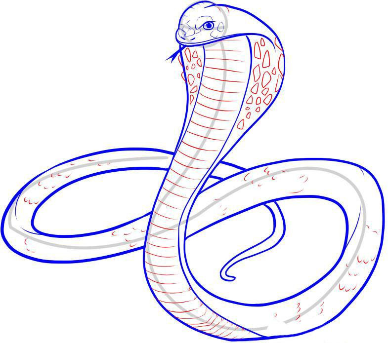 Легкие рисунки для срисовки змеи