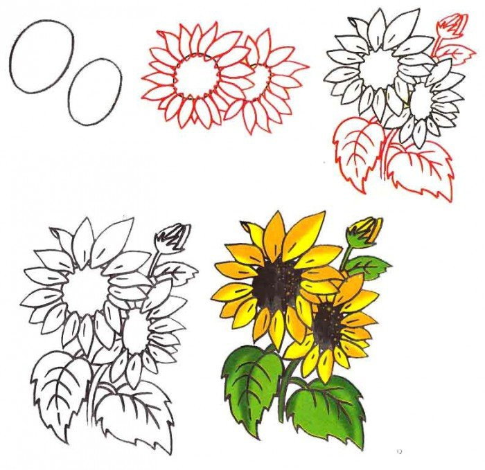 Рисунки цветов для срисовки (100 фото)