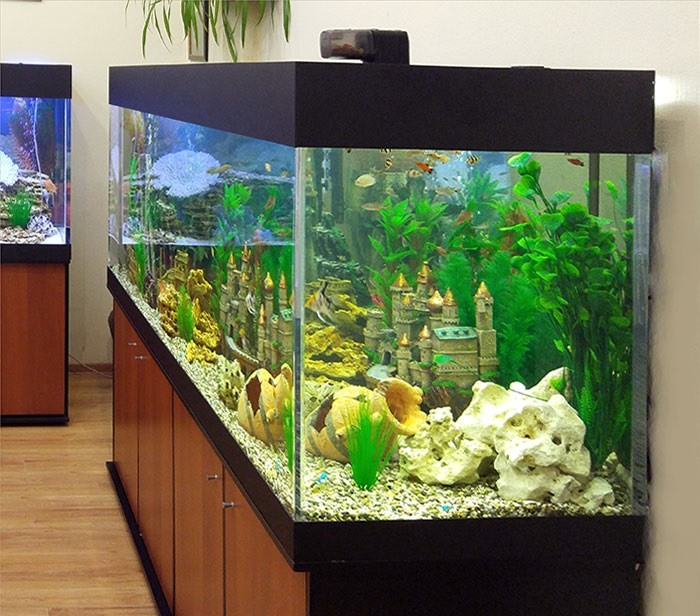 Шулешко аквариум методика картинки
