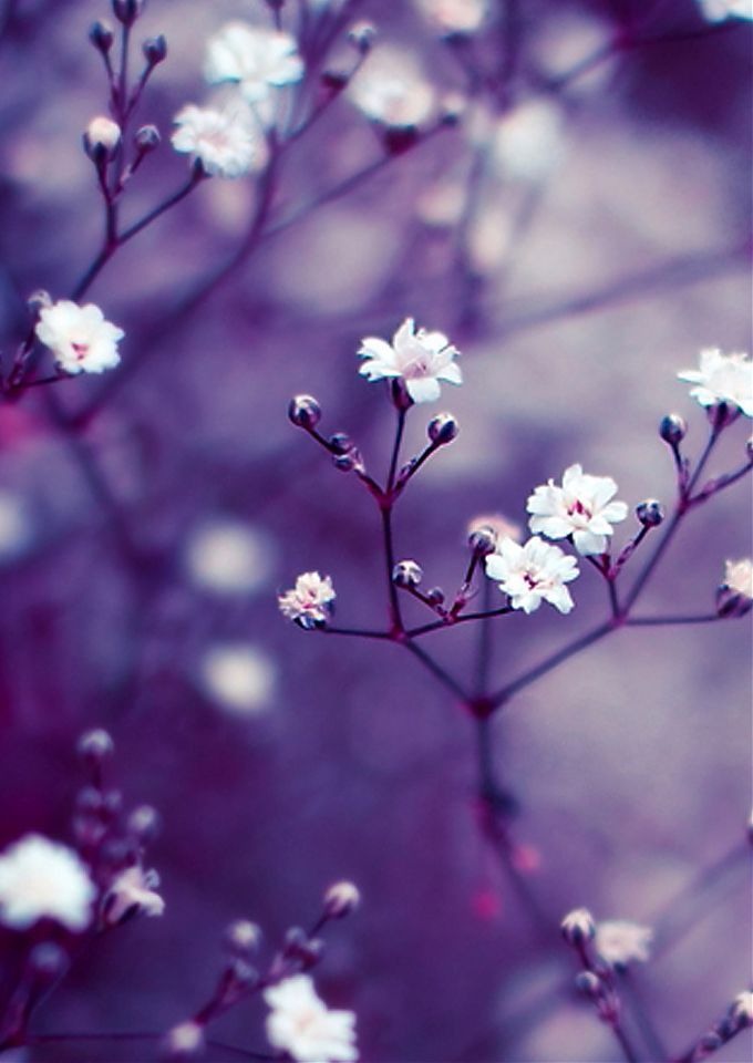 Весна картинки красивые на телефон бесплатно обои