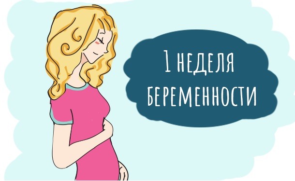 Начало беременности в картинках