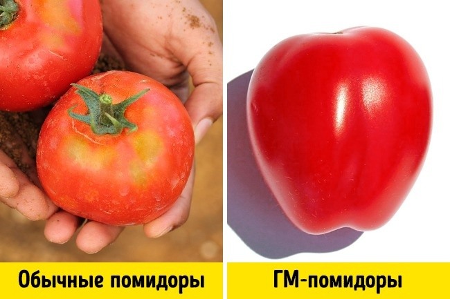 Гмо плюсы картинки