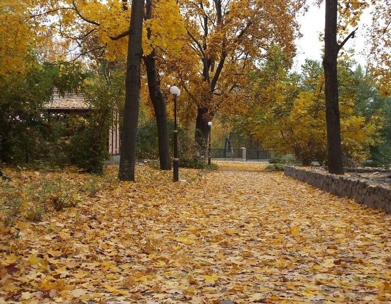 100 осень. Золотая осень, 50 г.. Осень 50. Autumn -50%.