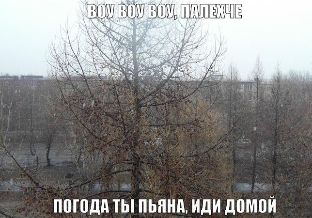 Пожалуйста иди домой. Иди домой картинки. Погода ты пьяна иди домой. Погода ты пьяна. Погода ты пьяна иди домой картинки.