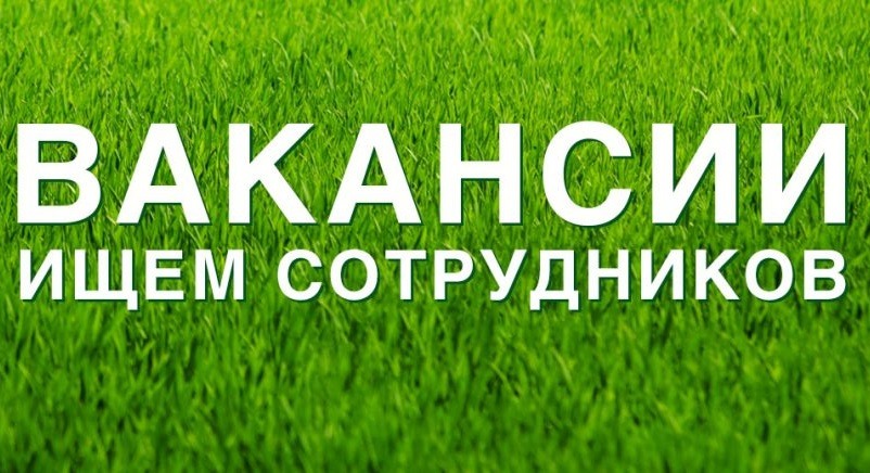 Вакансия картинка с надписью