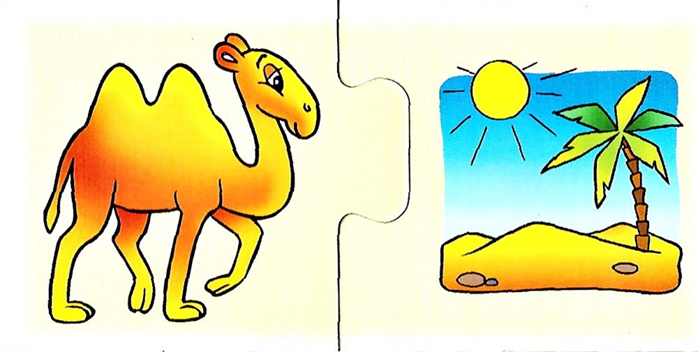 Верблюд цветовая схема слова - 98 фото