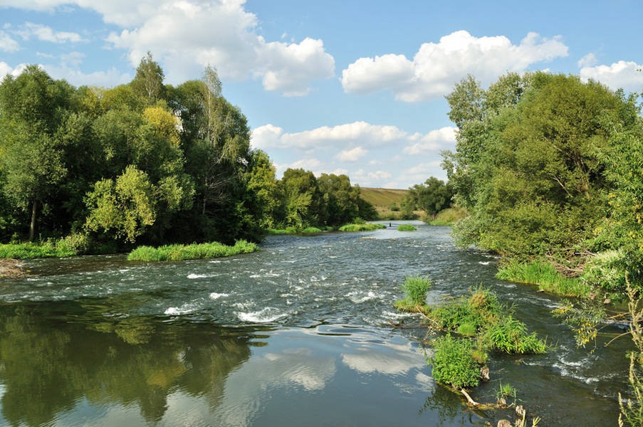 Дно реки картинка