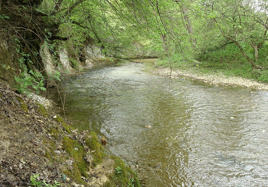 В какую сторону течет река если на картинке весна