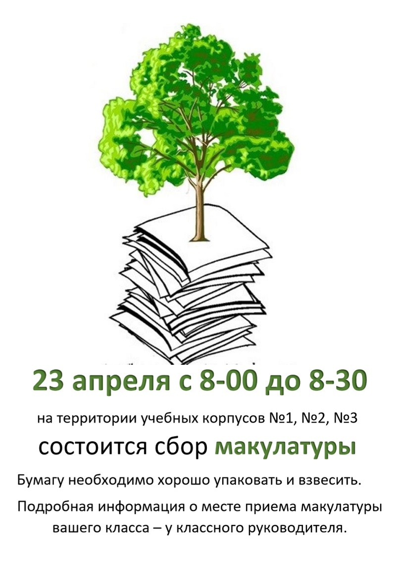 Про сбор макулатуры. Сбор макулатуры. Макулатура дерево. Макулатура рисунок. Сбор макулатуры спасем деревья.