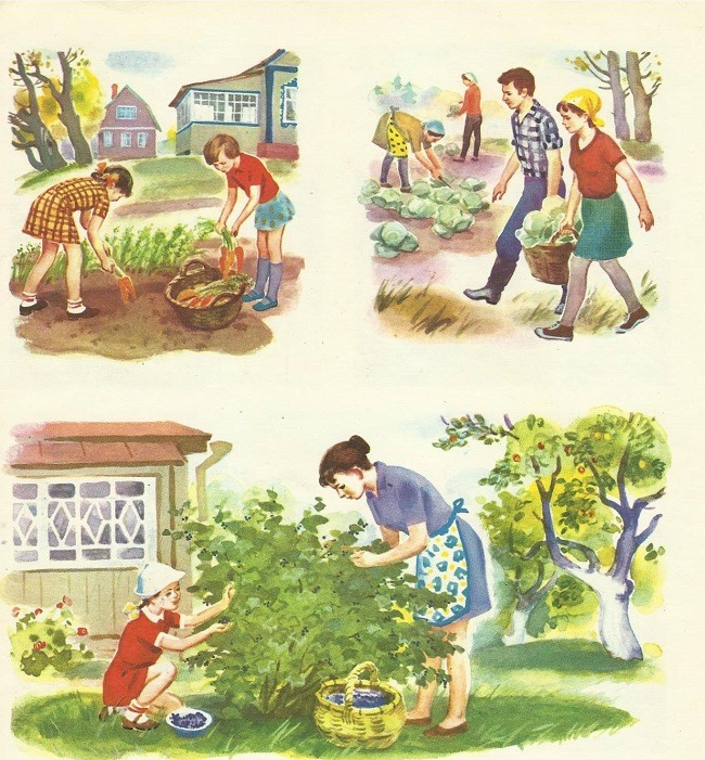 Картинка петунья для детей в детском саду для огорода