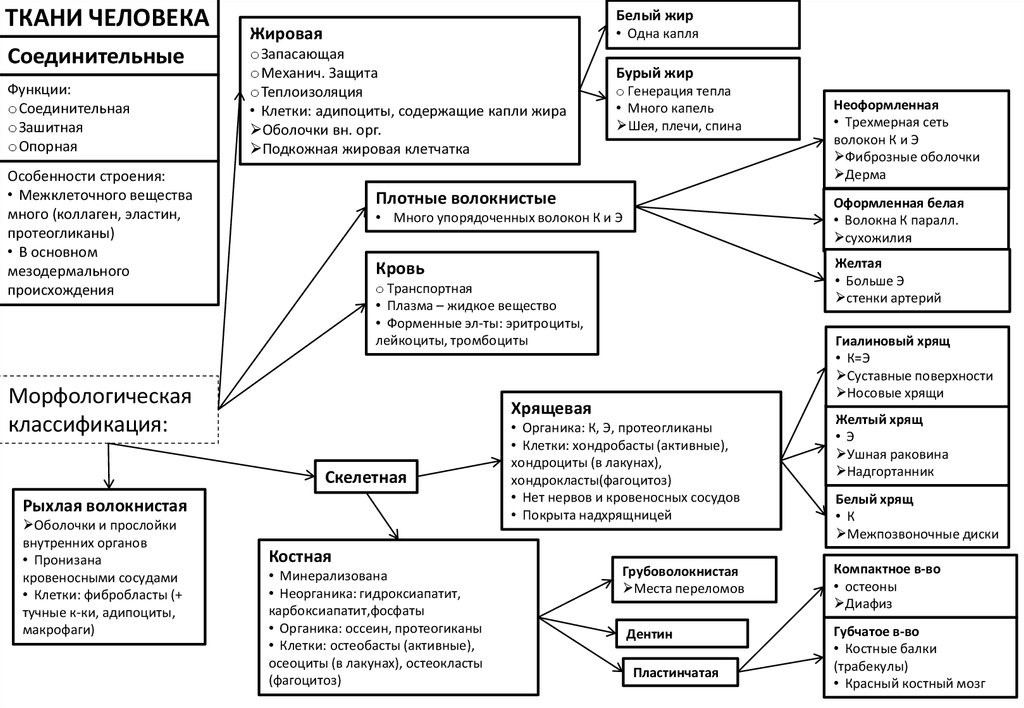 Ткани человека таблица. Ткани человека и их функции таблица. Ткани человека и их функции. Карбоксиапатит. Классификация морфологическая, классификация Пирогова-шабота.