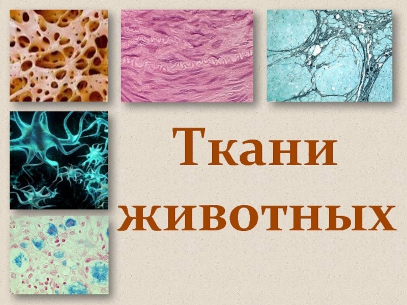 Поиск ткани по фото онлайн