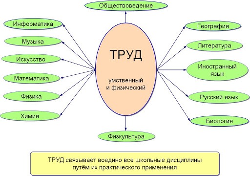 Виды трудовой деятельности при работе с персональным компьютером