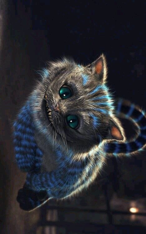 Чеширский кот из алисы фото