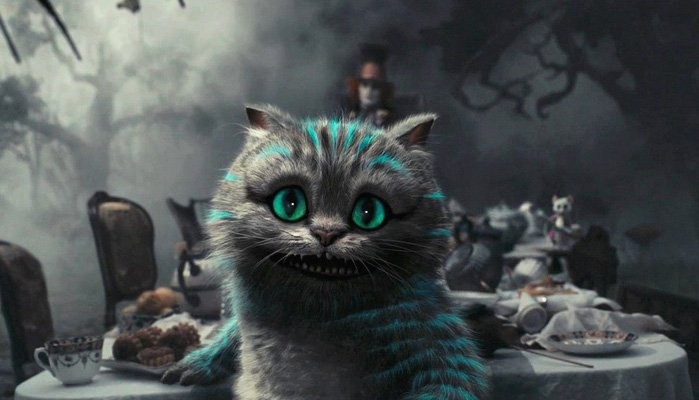 Фото чеширского кота настоящего в жизни